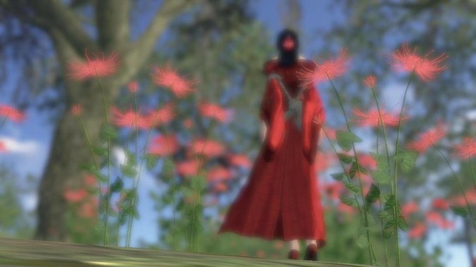 你的低成本爱好是什么？